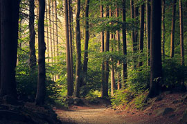 Пример проекта: посадочная страница с акцентами